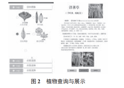 植物辨識交互系統(tǒng)的設(shè)計及實(shí)現(xiàn)