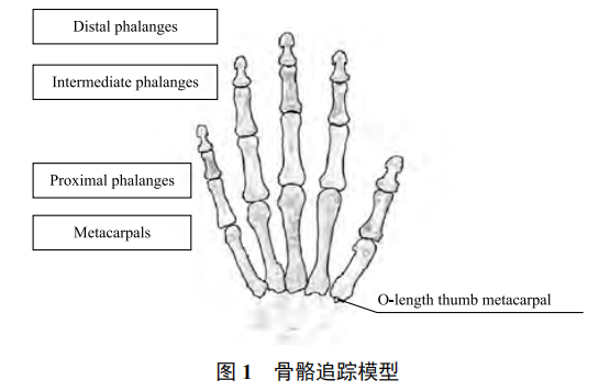 基于 Leap Motion 和卷積神經網(wǎng)絡的手勢識別