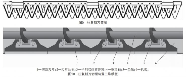 一種行間距可調(diào)的多行夾拔式胡蘿卜收獲機設(shè)計