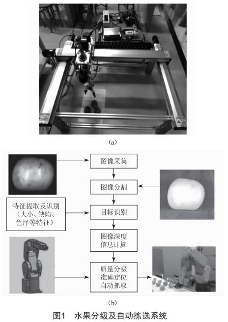 基于機器視覺的水果分級分揀系統(tǒng)關(guān)鍵技術(shù)研究