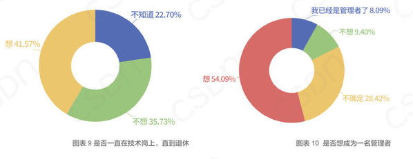 圖源：CSDN 發(fā)布的《2020 中國(guó)開(kāi)發(fā)者調(diào)查報(bào)告》