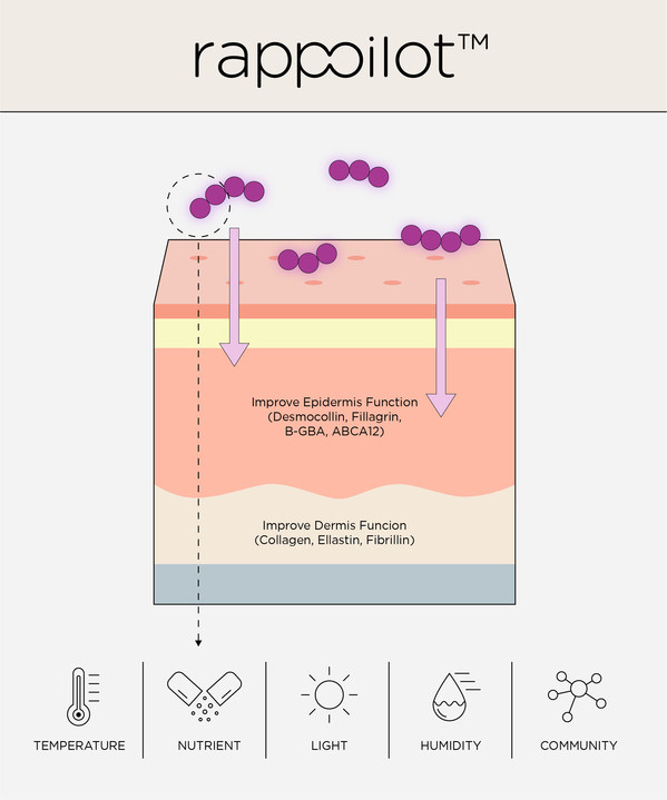 第二代皮膚微生物群Rappoilot?的示意圖