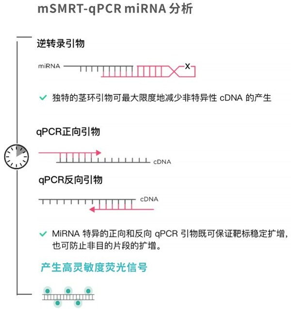 圖3.覓瑞獨特的三引物設計。