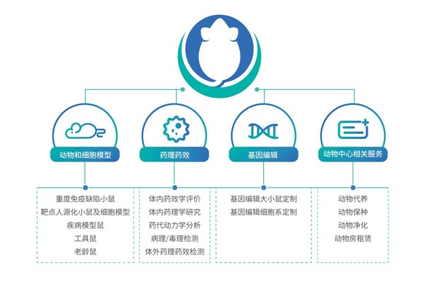 百奧賽圖升級兩大業(yè)務線，推出子品牌BioMice百奧動物，賦能全球創(chuàng)新藥物研發(fā)