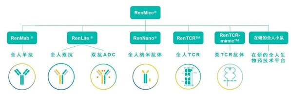 RenMice系列小鼠及應用其構(gòu)建的全人抗體/TCR技術(shù)平臺