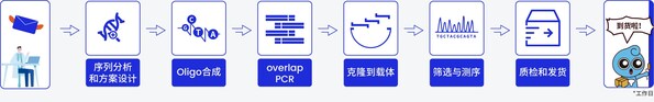 擎科生物基因合成流程圖