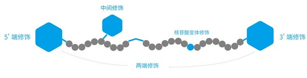 Oligo修飾類型功能分類