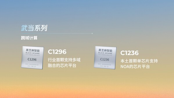 黑芝麻智能武當(dāng)C1200家族芯片